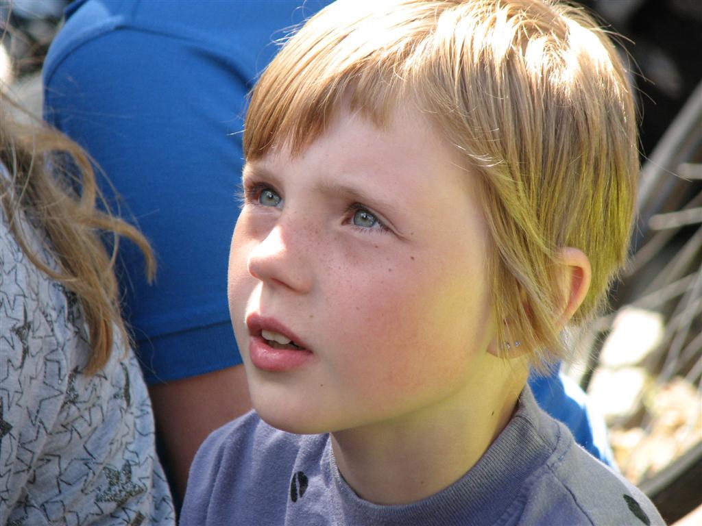 IMG_0022 (Large).JPG